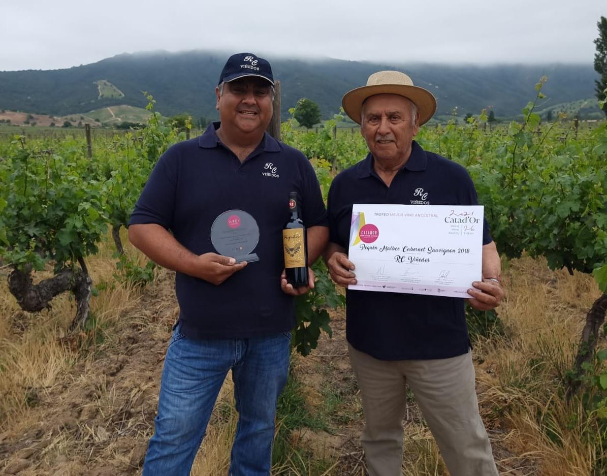 vino campesino 2