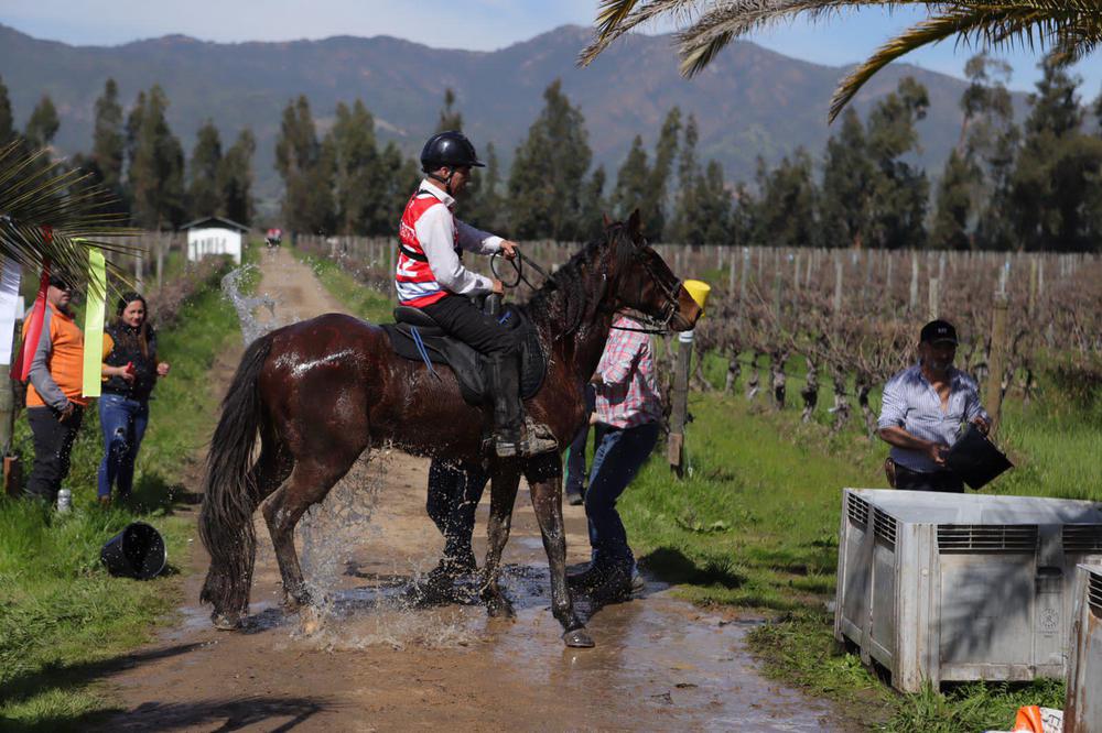 PHOTO-2022-08-21-15-47-28