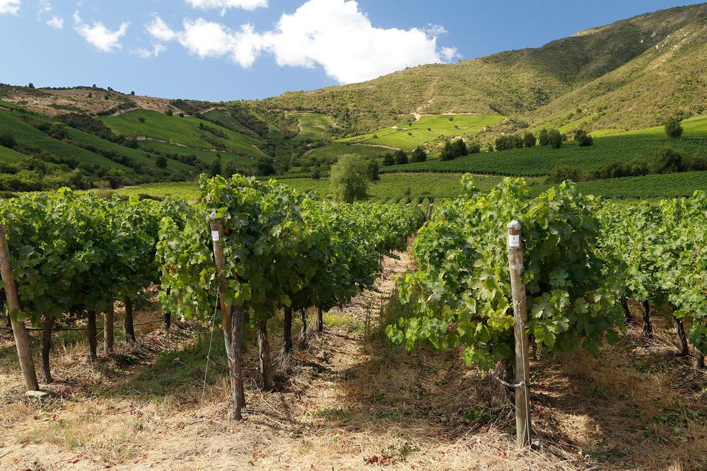 valledecolchagua